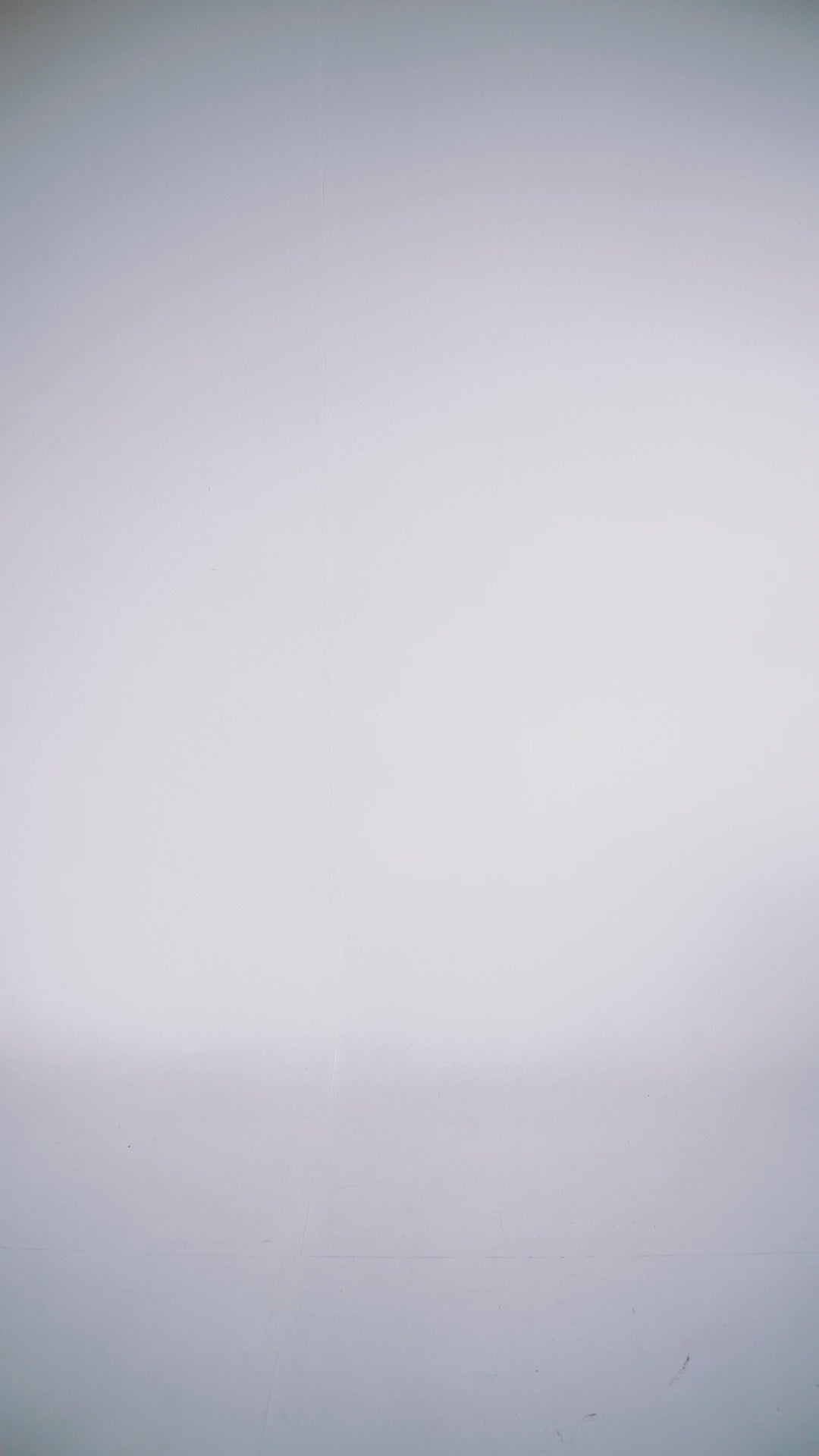 Unprecedented Windbreaker | Woman